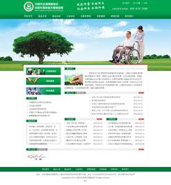 專業企業展示型網站建設，打造北京企業的數字名片